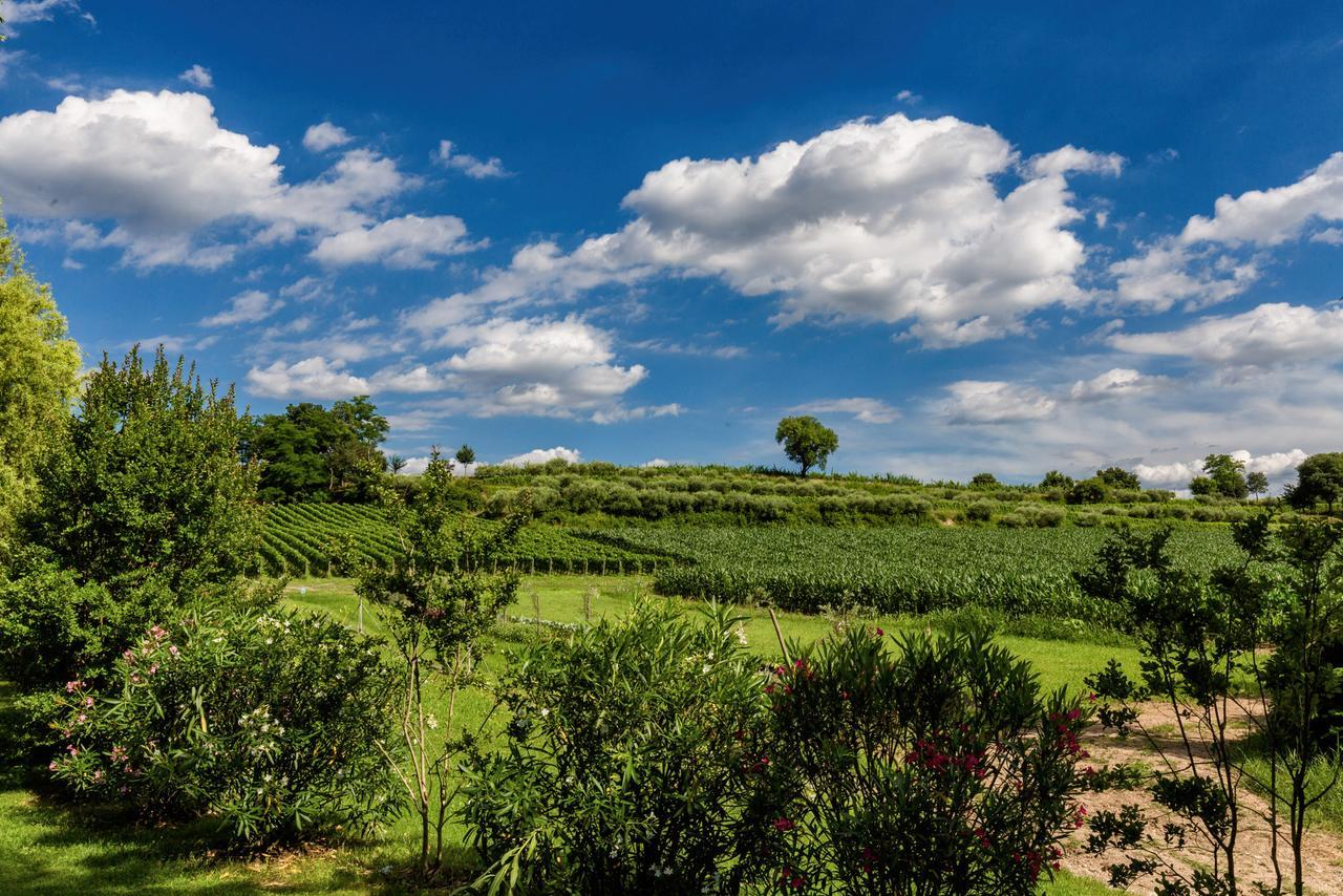 Agriturismo Moscatello Konuk evi Pozzolengo Dış mekan fotoğraf